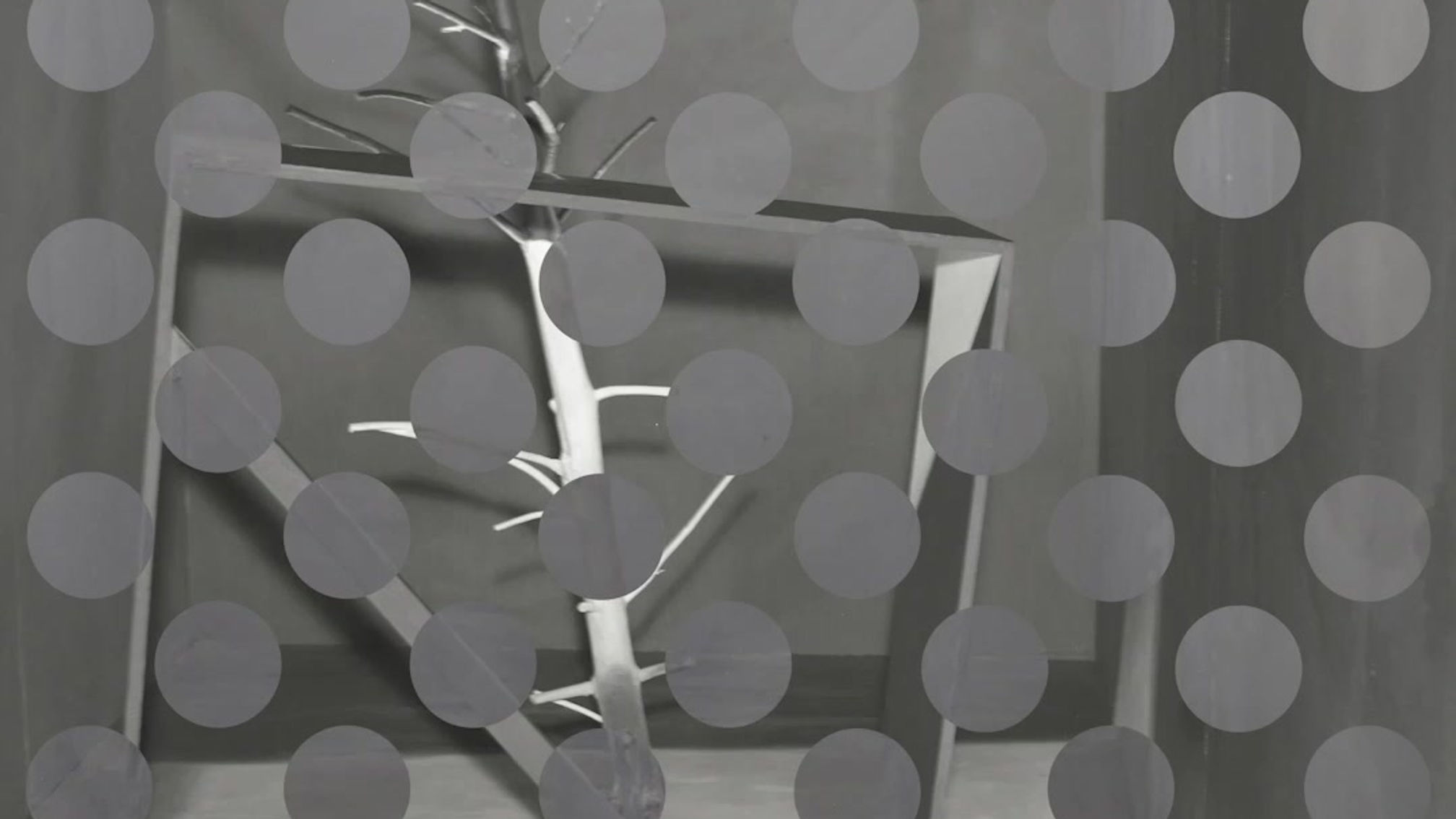 untitled(square and tree)2021